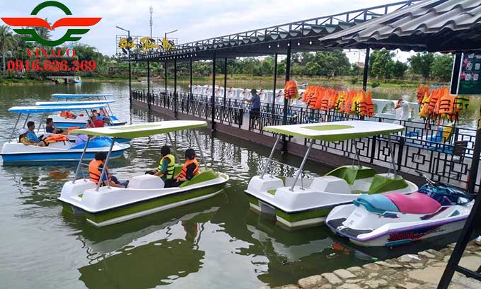Thiên nga đạp nước ở Quảng Bình 4