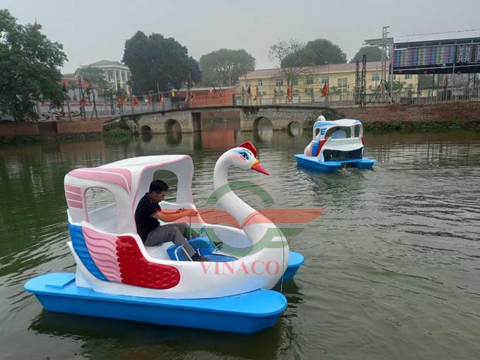 2 thiên nga đạp nước ở gia lâm hà nội 1