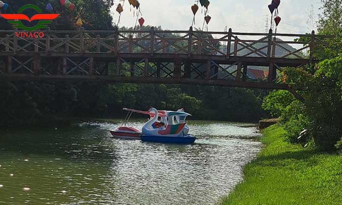 thiên nga đạp nước ở Quảng Ninh 4