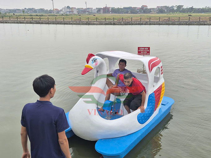 thiên nga đạp nước ở Nam Định