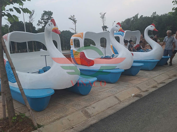 3 thiên nga đạp nước ở phú thọ 1
