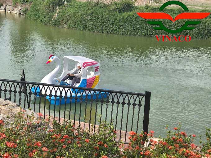 thiên nga đạp nước ở hà nam 2