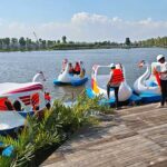 5 thiên nga đạp nước tại Long An