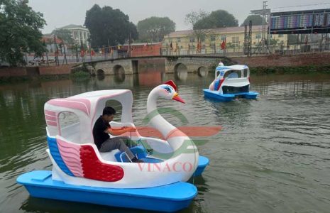 2 thiên nga đạp nước ở gia lâm hà nội 1