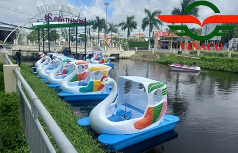 Thiên nga đạp nước ở Sóc trăng