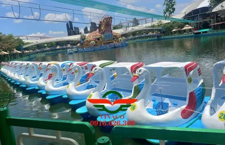 Thiên nga đạp nước ở Suối Tiên 1