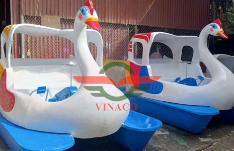 thiên nga đạp nước ở Thái nguyên 1