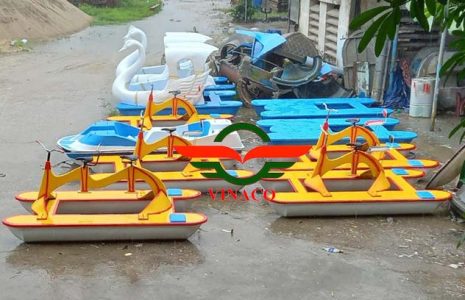 thiên nga đạp nước và xe đạp nước ở An Giang