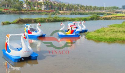 thiên nga đạp nước ở Tuyên Quang